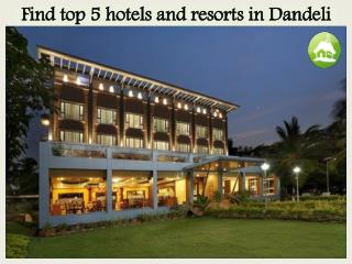 Find top 5 hotels and resorts in Dandeli