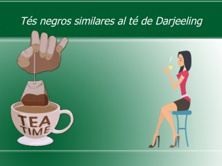 Tés negros similares al té de darjeeling