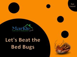 Let's beat the bed bugs