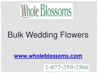 Bulk Wedding Flowers