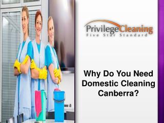 Why Do You Need Domestic Cleaning Canberra