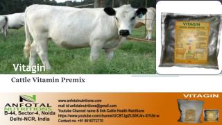 Cattle feed additives