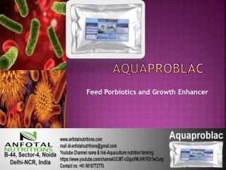 Aqua probiotics