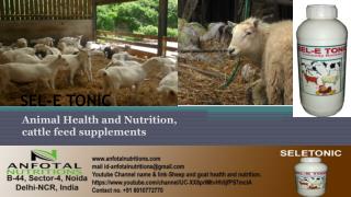 Animal Health and Nutrition