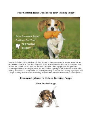 Four Common Relief Options For Your Teething Puppy