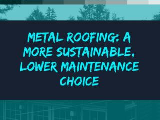 Increase your Homes Value | Alpha Rain