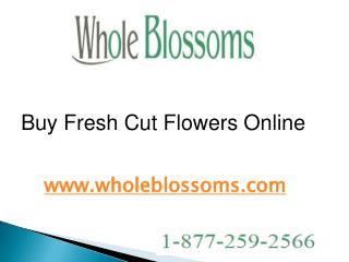 Buy Fresh Cut Flowers Online