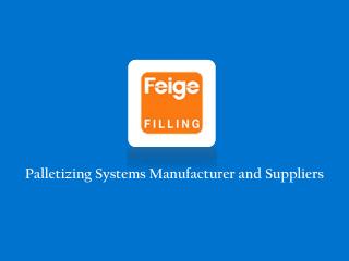 Palletizing System Singapore