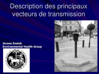 Description des principaux vecteurs de transmission