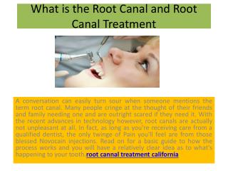 What is the Root Canal and Root Canal Treatment?