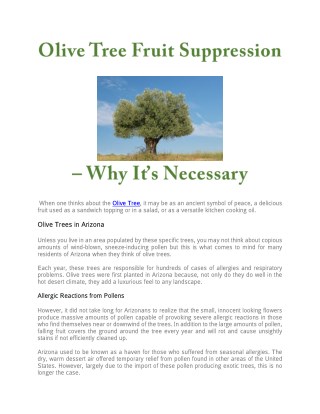 Olive Tree Fruit Suppression
