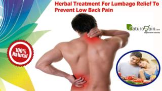 Herbal Treatment For Lumbago Relief To Prevent Low Back Pain