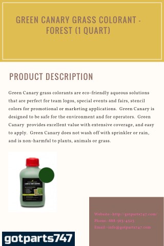 Green Canary Grass Colorant - Forest (1 Quart)