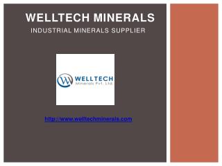 Welltech Minerals - Manufacturer of Industrial Minerals in India