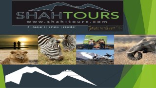 Shah Tours Tanzania