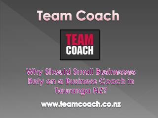 Why Should Small Businesses Rely on a Business Coach in Tauranga NZ