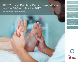 IDF Clinical Practice Recommendations on the Diabetic Foot – 2017 by diabtesasia.org