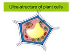 Ultra-structure of plant cells