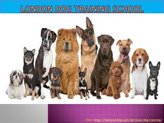 London Dog Training School