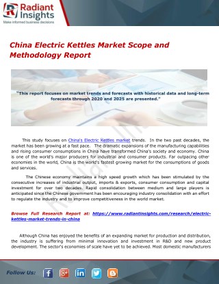 China Electric Kettles Market Scope and Methodology Report