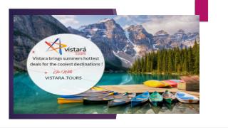 Vistara tours - Services