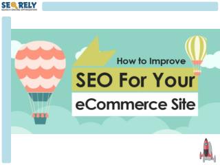 Ecommerce SEO Services - How To Improve Ecommerce Rankings - Seorely