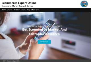 Ecommerce expert online - Ecommerce market research service