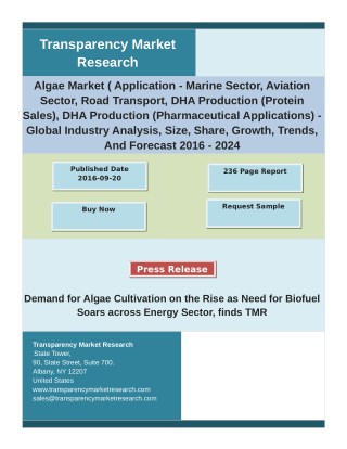 Algae Market Analysis by Global Segments, Growth, Size and Forecast 2024