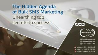 The Hidden Agenda of Bulk SMS Marketing: Unearthing top secrets to success