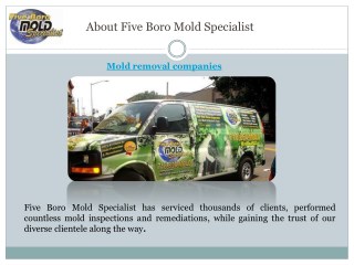 Mold remediation companies