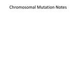 Chromosomal Mutation Notes
