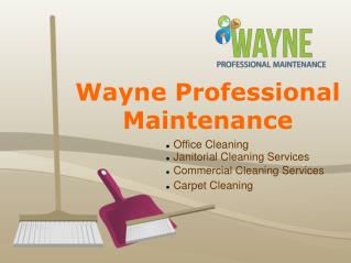 Wayne Professional Maintenance