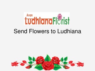 Ludhiana Florist