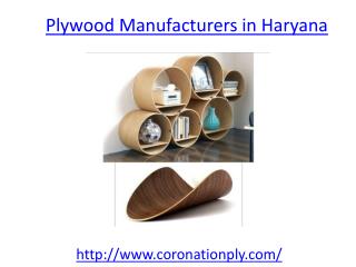 How to find the best plywood manufacturers in haryana