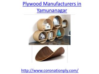 Who is one of the top plywood manufacturers in yamunanagar