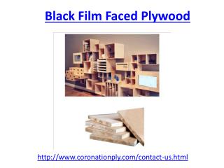 Best Quality black film faced plywood in Haryana