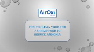 Tips to clean your fish or shrimp pond