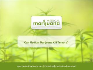Can Medical Marijuana Kill Tumors?