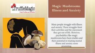 Magic Mushrooms Illness and Anxiety