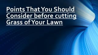 Before cutting Grass of Your Lawn Various Points You Should Consider