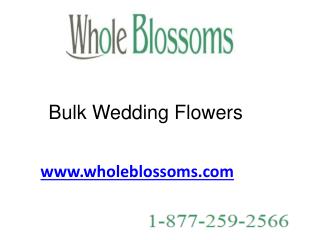Bulk Wedding Flowers