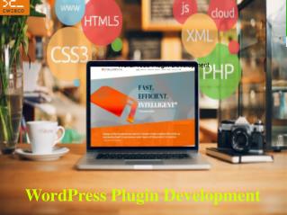 WordPress Plugin Development Company