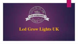 Led Grow Lights UK