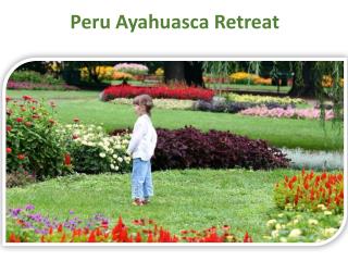 Peru Ayahuasca Retreat