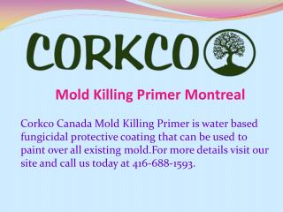 Mold Killing Primer Montreal