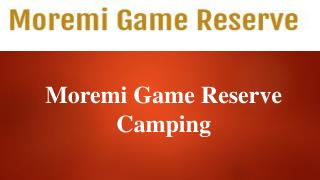 moremi game reserve camping 