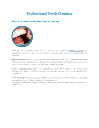 Professional Teeth Cleaning