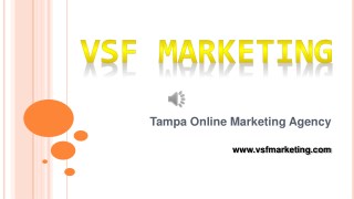 Leading SEO Company in Tampa, Florida