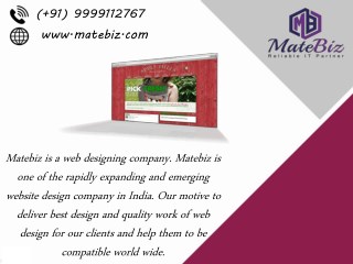 Matebiz is a India’s Best Web Design Company