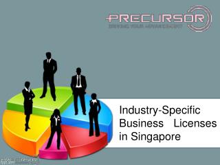 Industry-Specific Business Licenses in Singapore